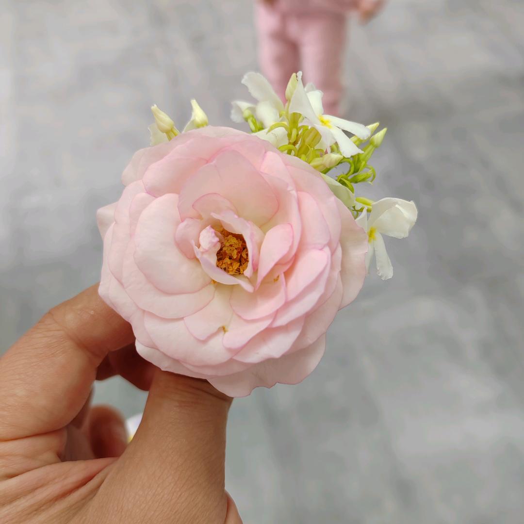 馨馨要开心