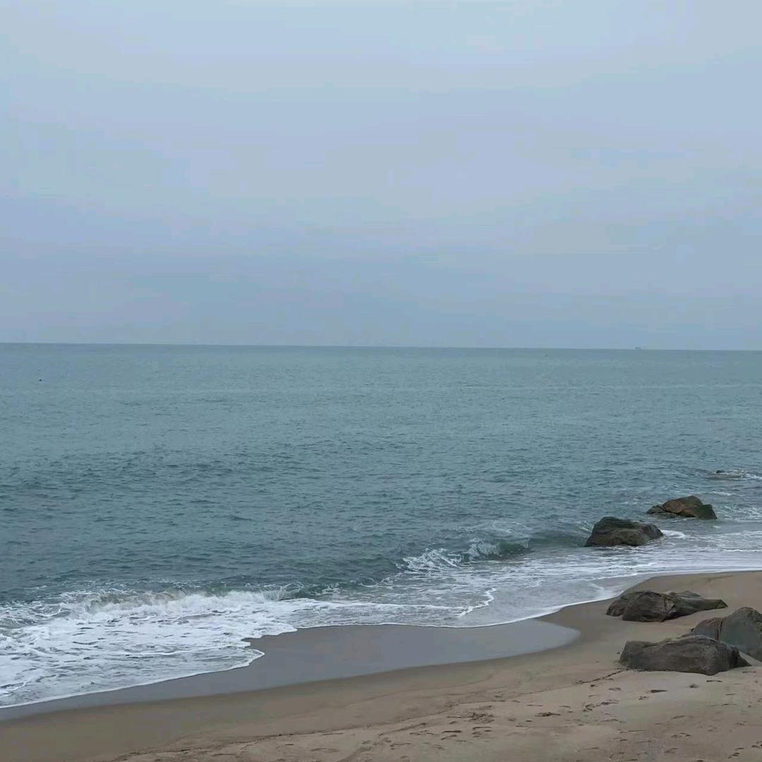 漂、泊