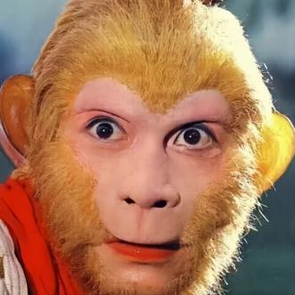 汝州猴哥西游组合团