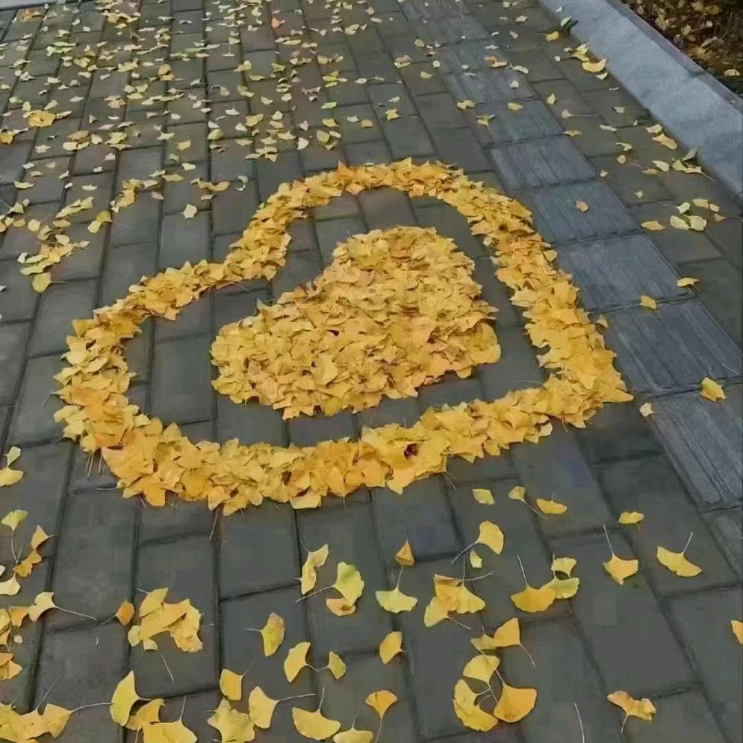 精灵古怪