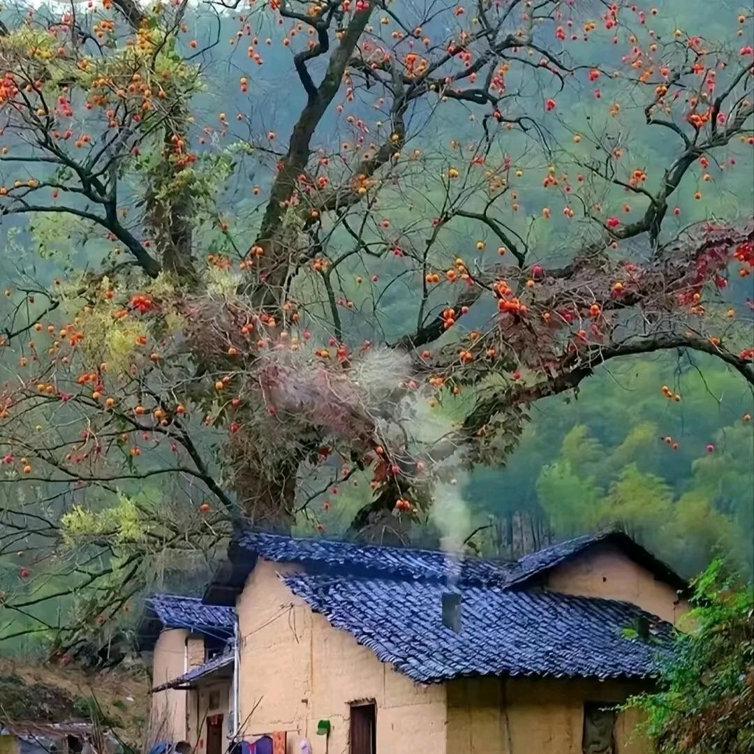 智录