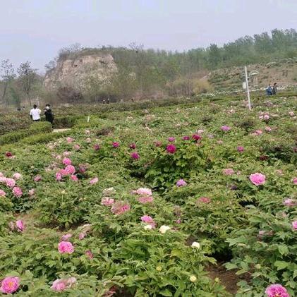 点赞加油加油加油