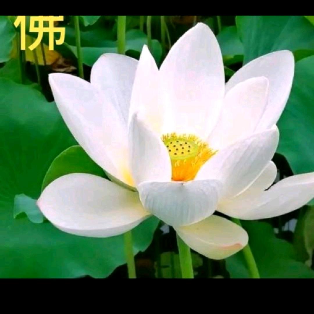易玄阁二