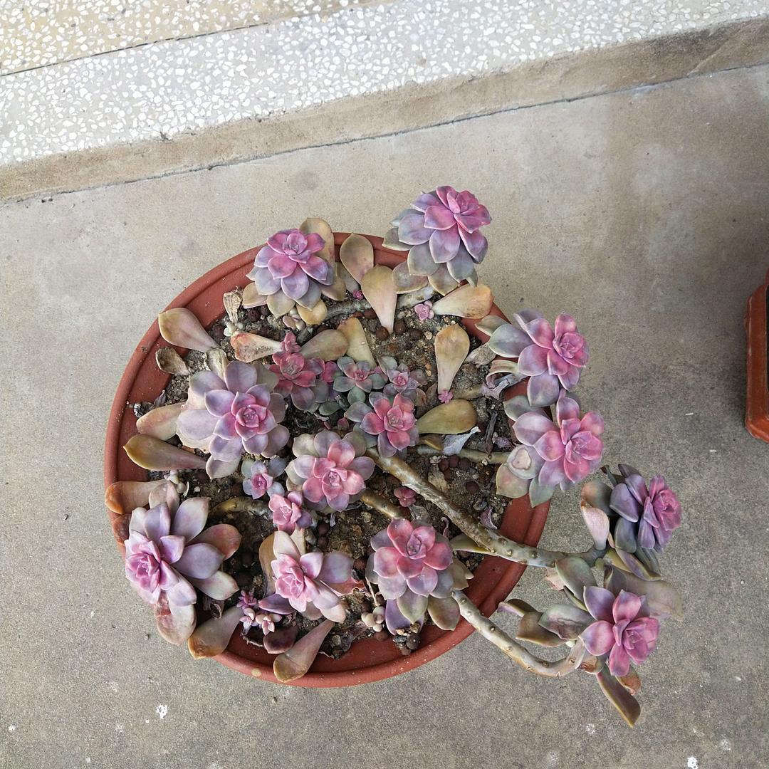 ？