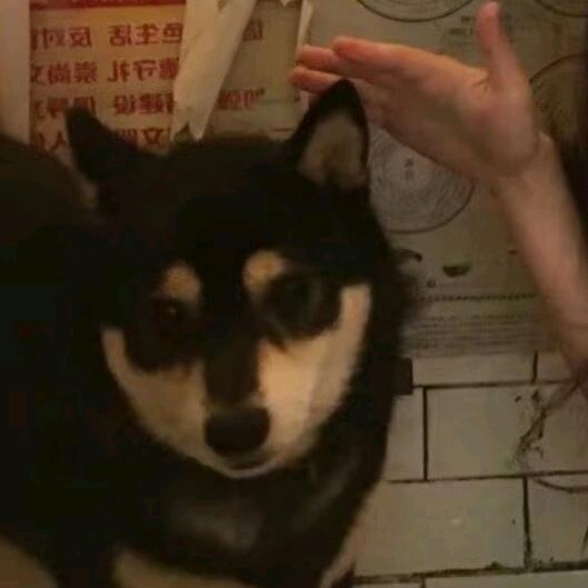 安逸（三角洲）