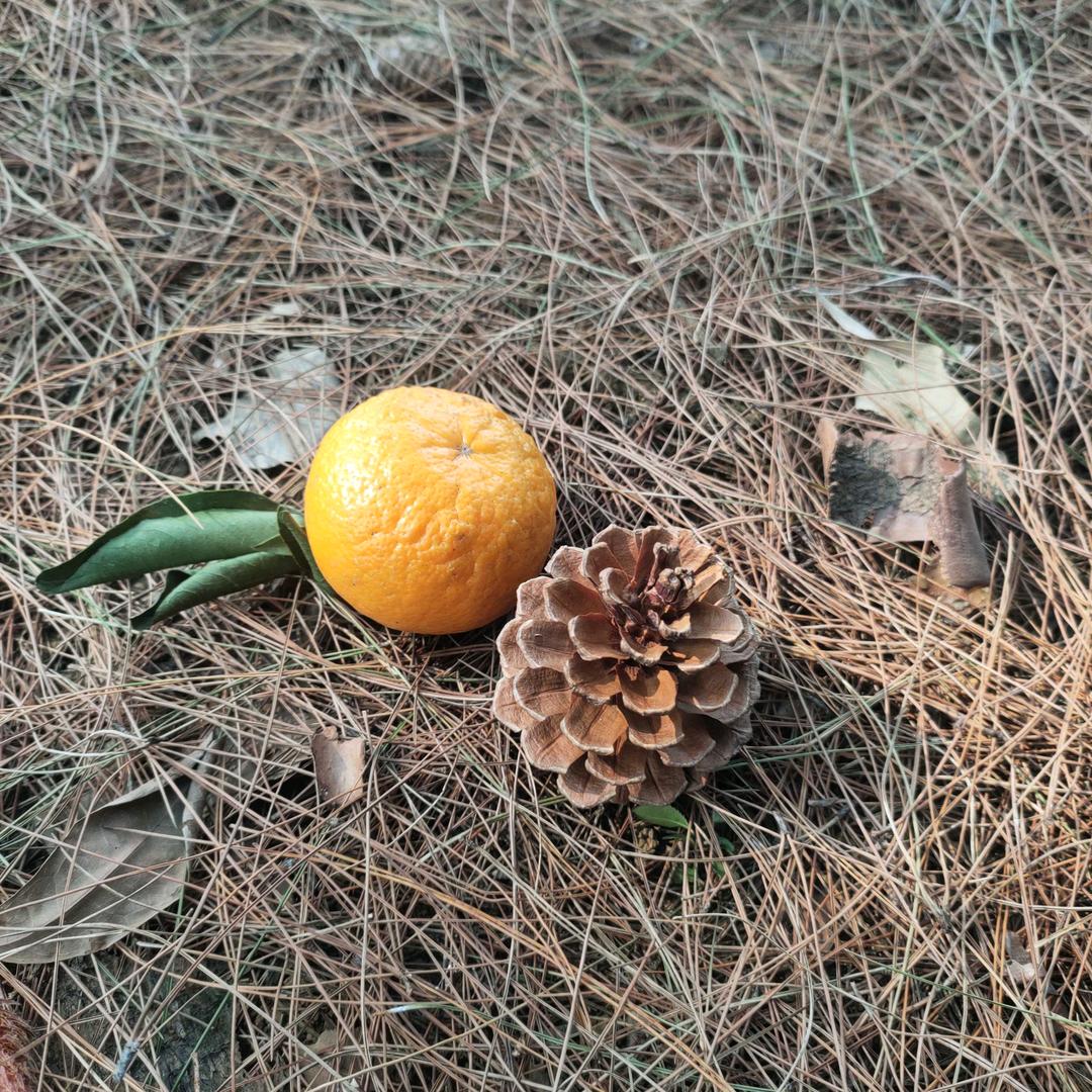 娇娇公主聊健康