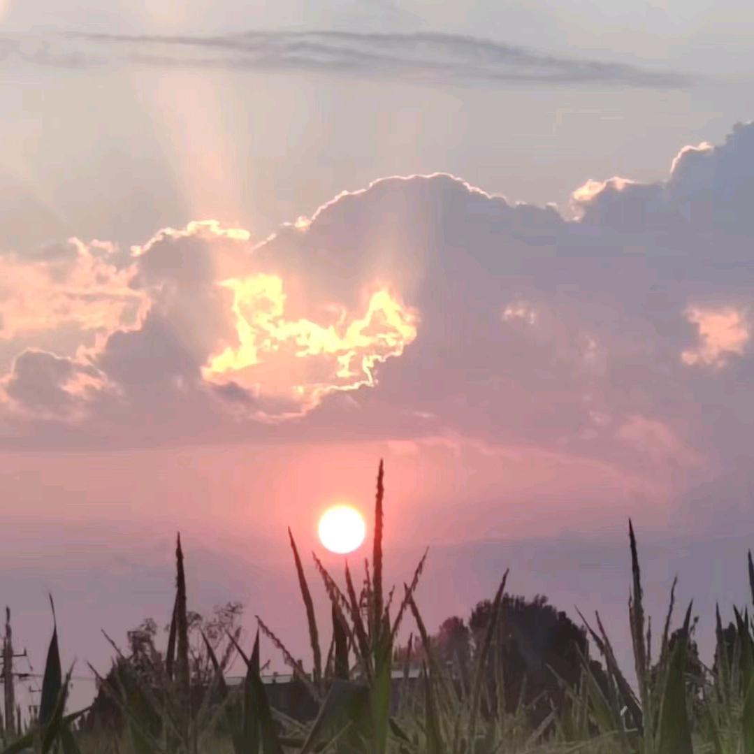 努力站桩的奶酪🧀