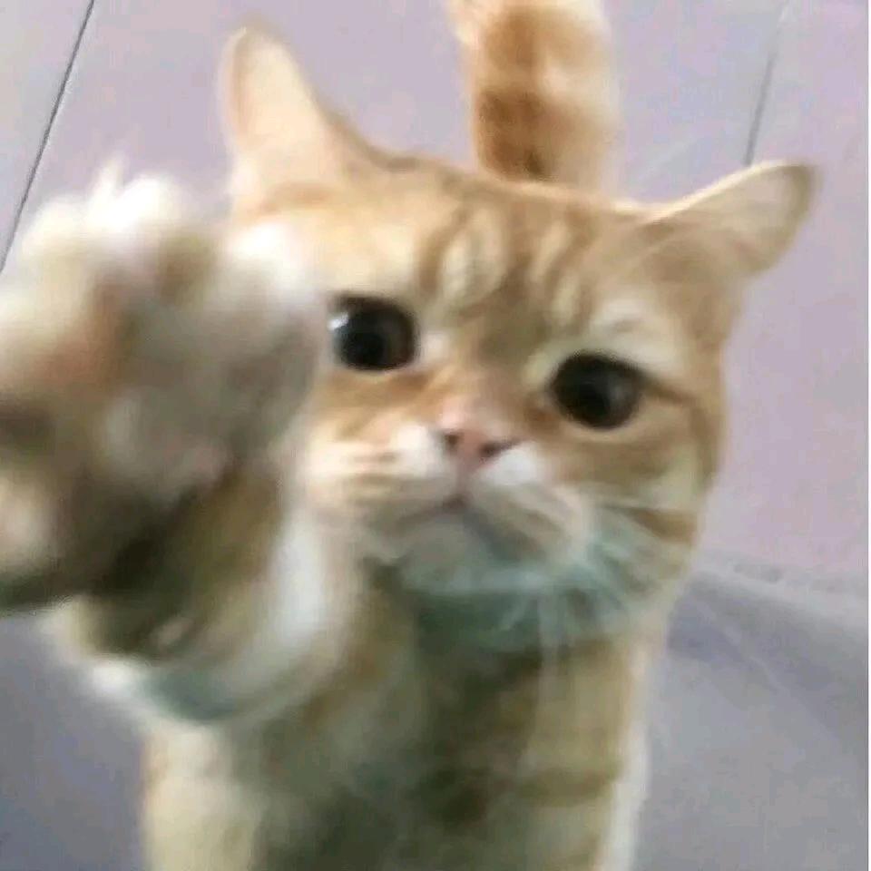 小方方方