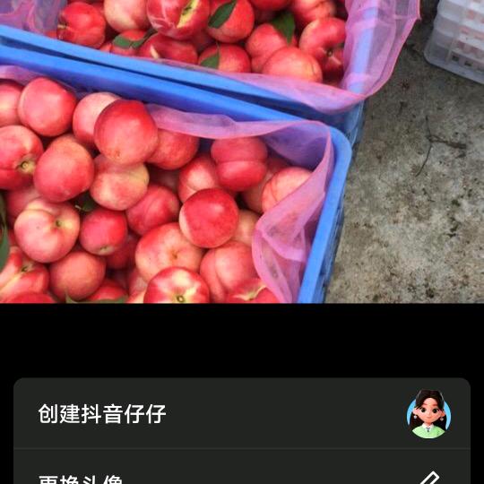 梦想