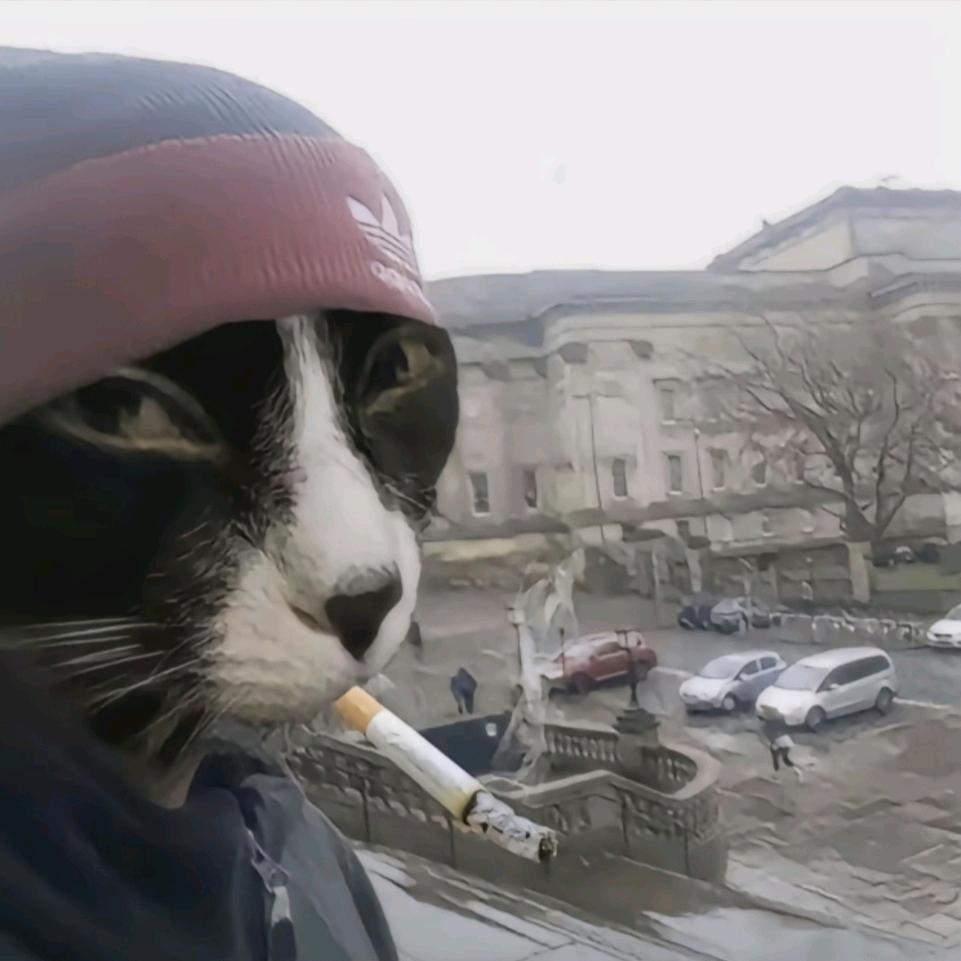 香辣树皮