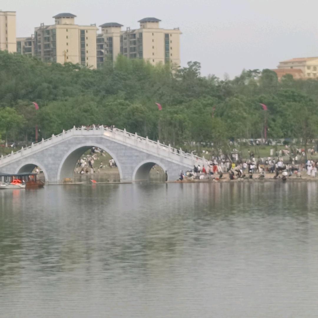 杨华群