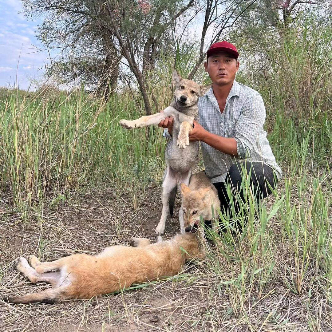 内蒙古乌拉特前旗野狼谷野生动物救助站