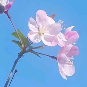 记录生活中的点点滴滴