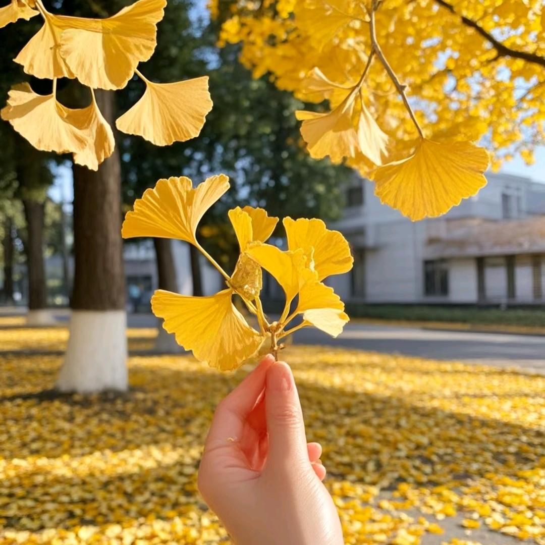 一姐智慧话