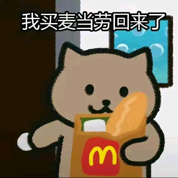 ོ࿆鱼巷猫未归ོ࿆