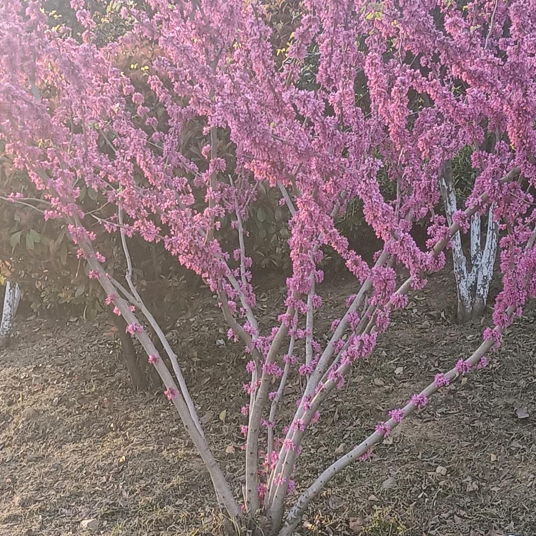 幸福靠双手(o^^o)