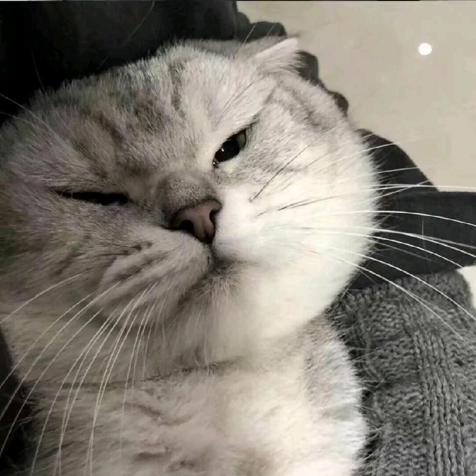 猛踹瘸子那条好腿_