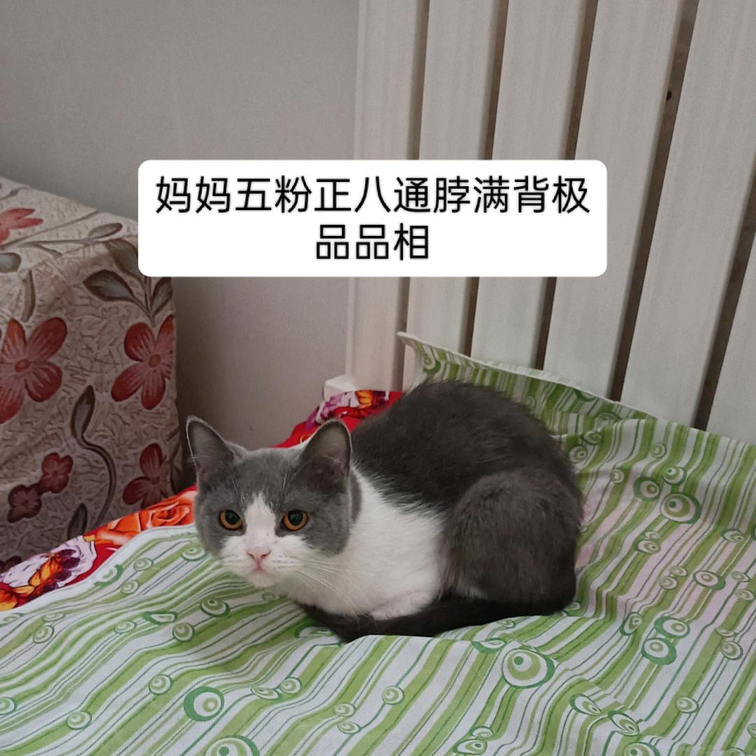 招财纳福