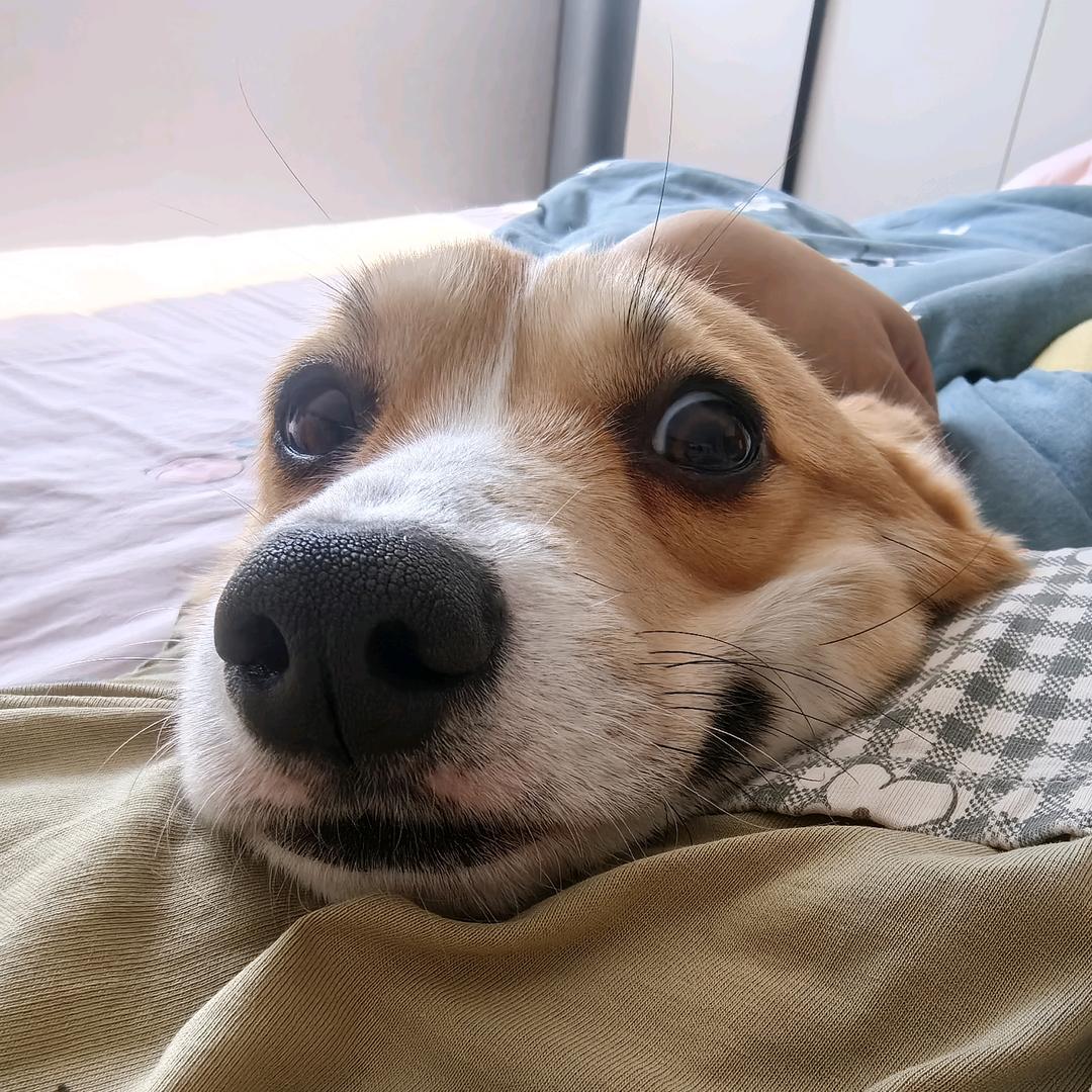 生而悦己