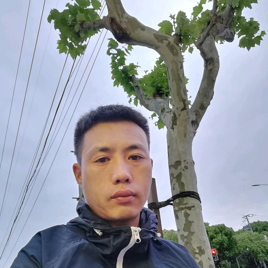 清风下酒