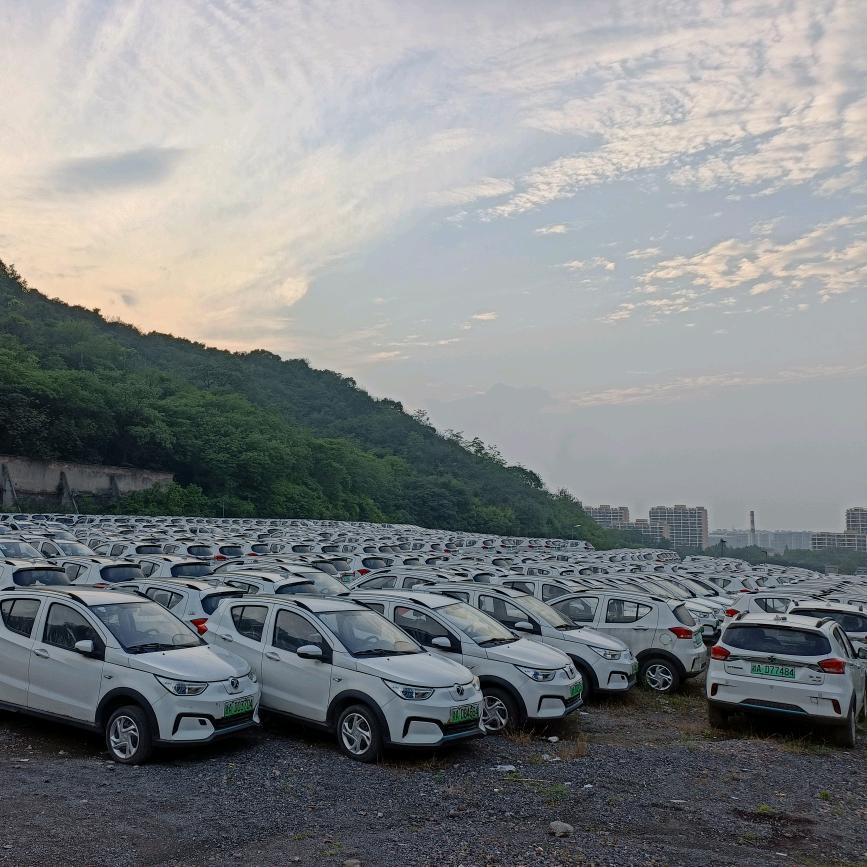 新能源批发零售亮哥