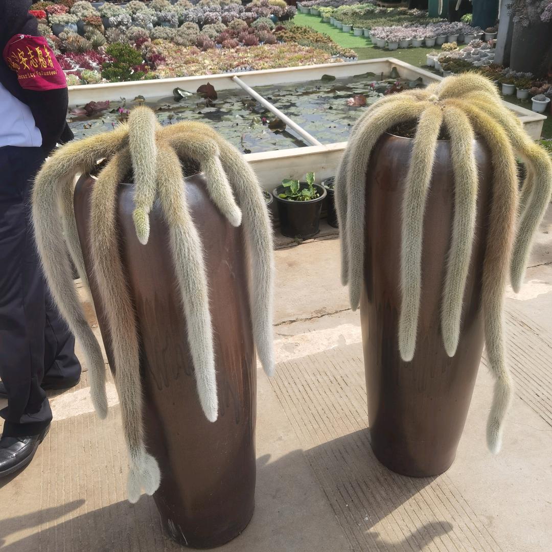 回忆