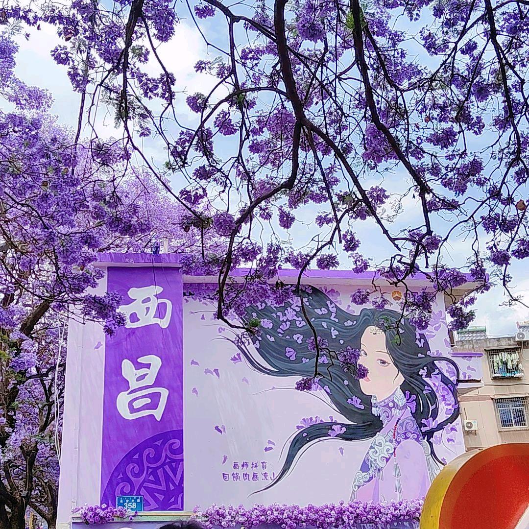 背着风流泪