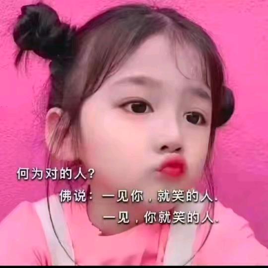 ……………