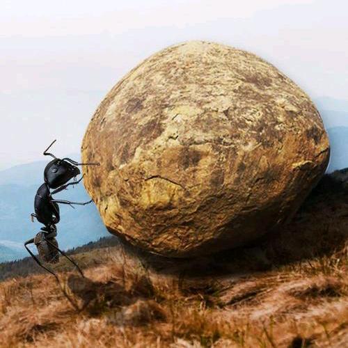 @辰辰李记录美好生活