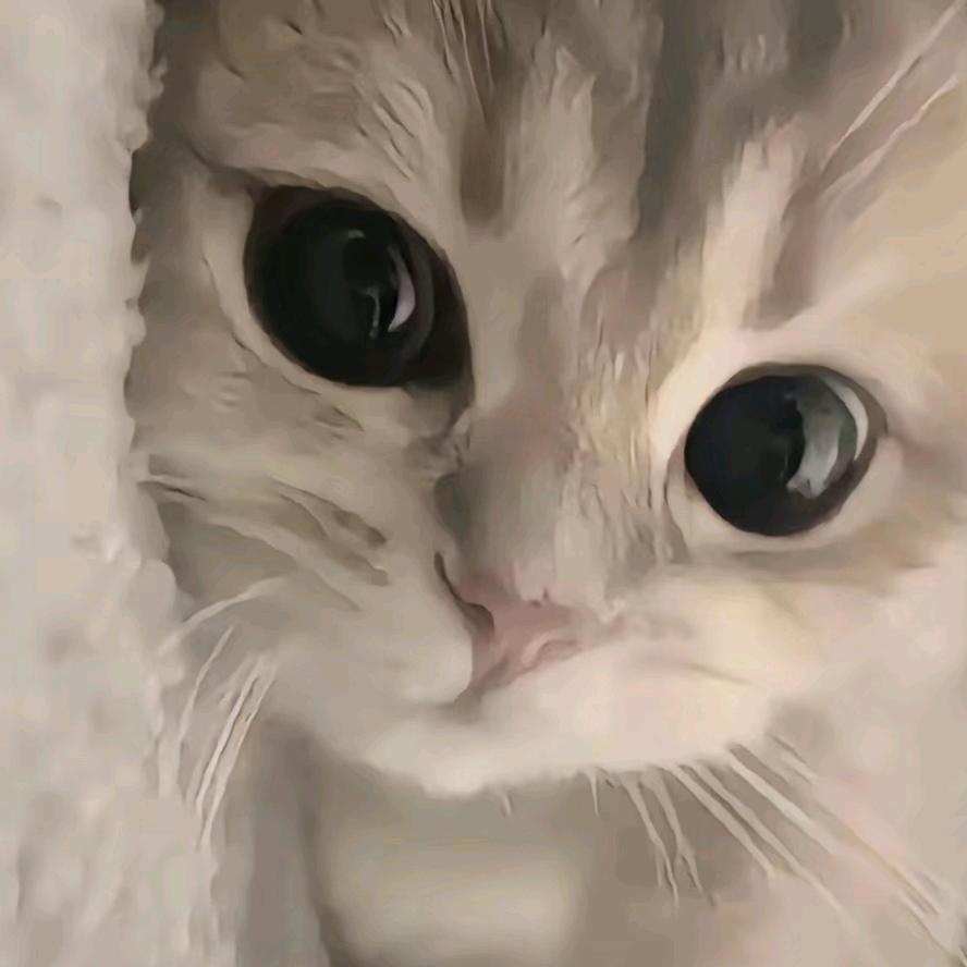 西西不嘻嘻