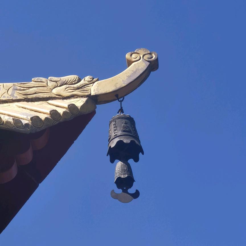 清醒着失落