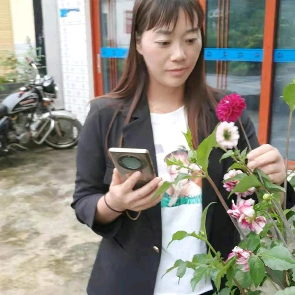 风香花语