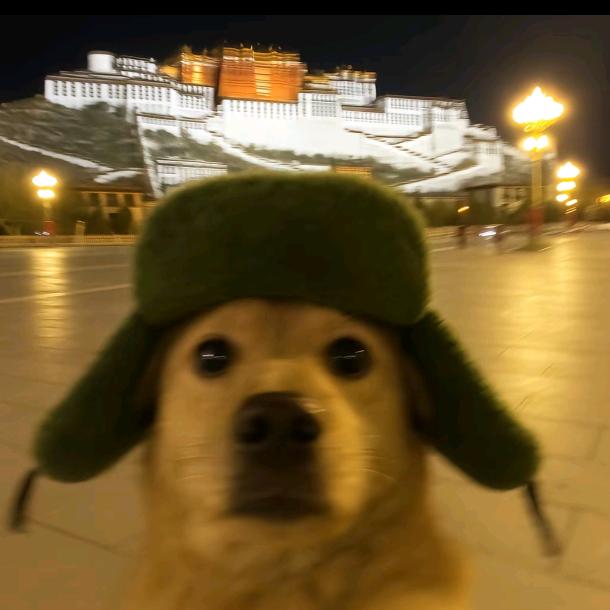 噜啦