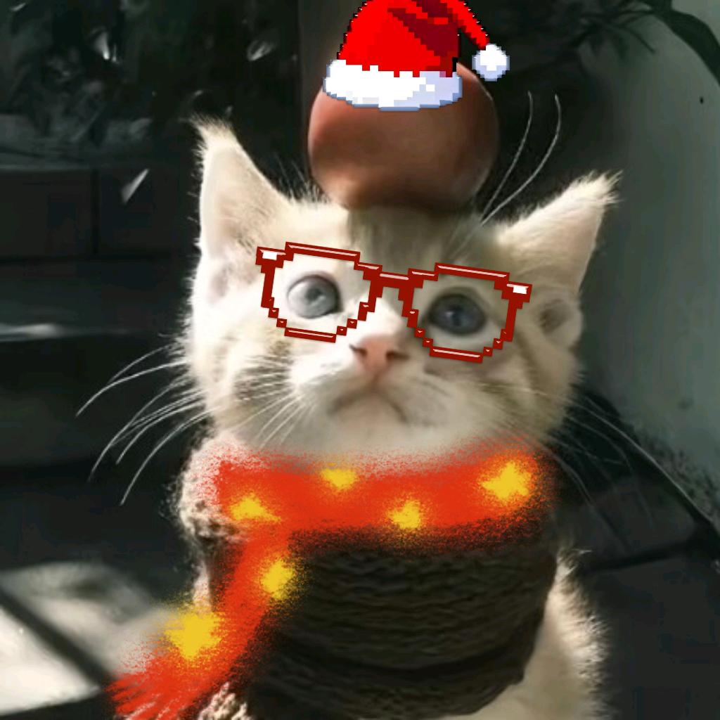 煜宝很幸福.🐟