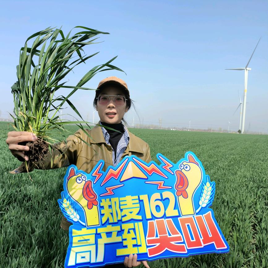 颖安种业小魏