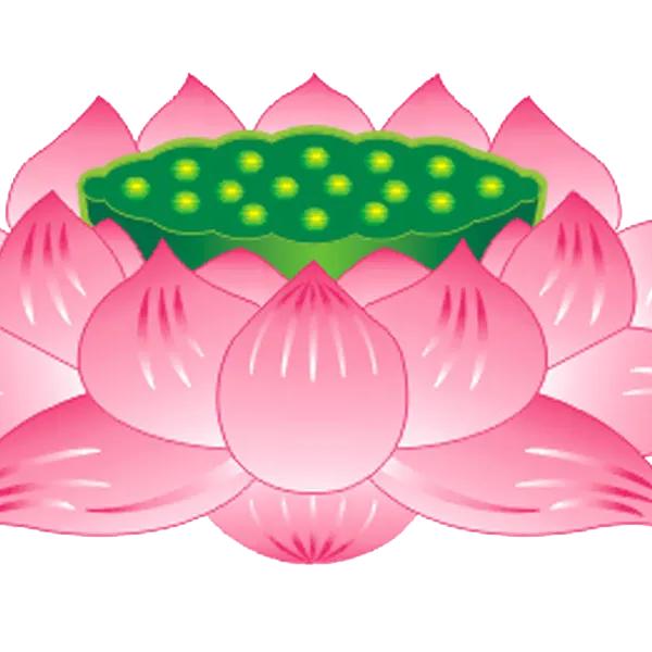 保持距离