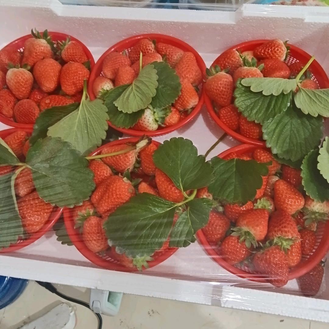 小芳超市