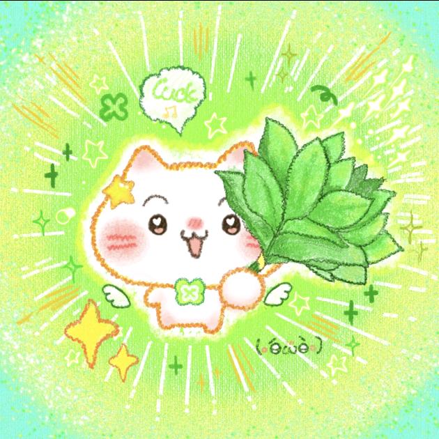 会烧白开水