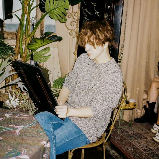 绿毛小狗不皱眉.