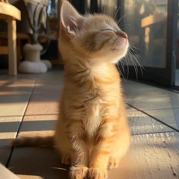 疏影横斜水清浅