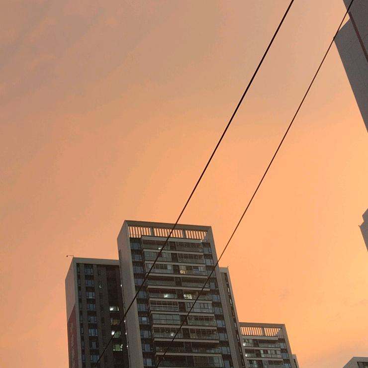 丽姐的丽