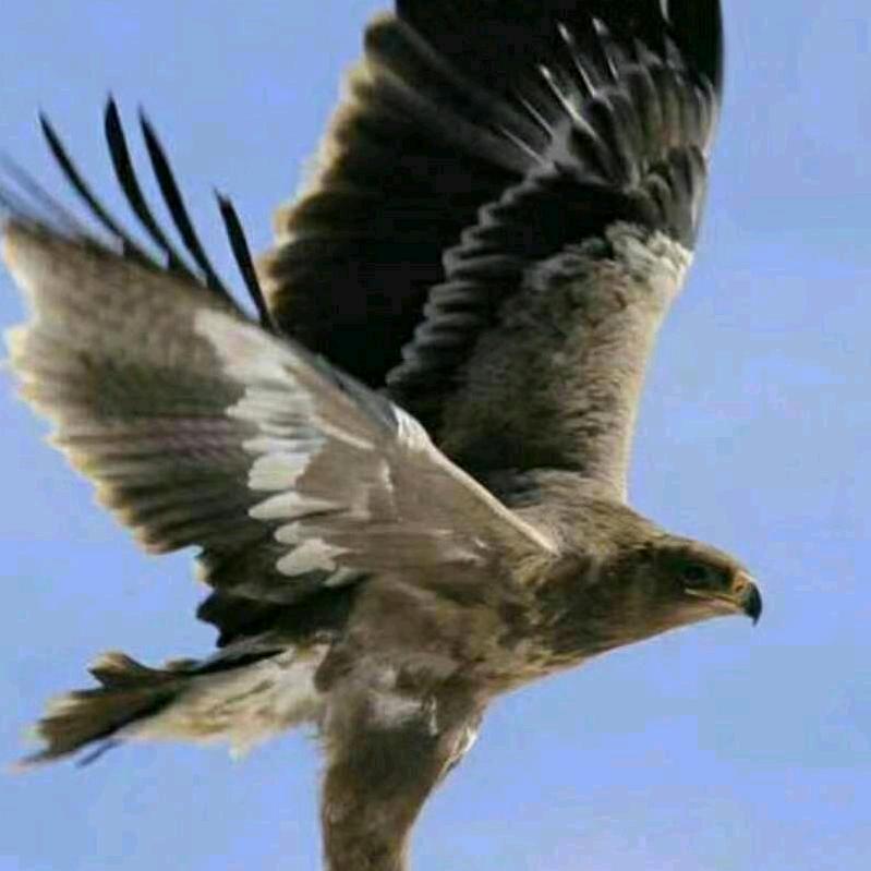 六九年的旭哥🐔🐔