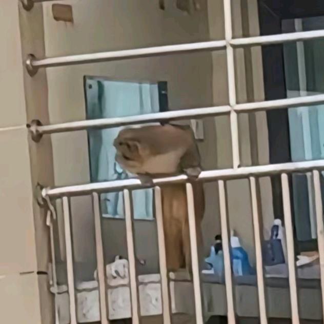 你在讲乜嘢