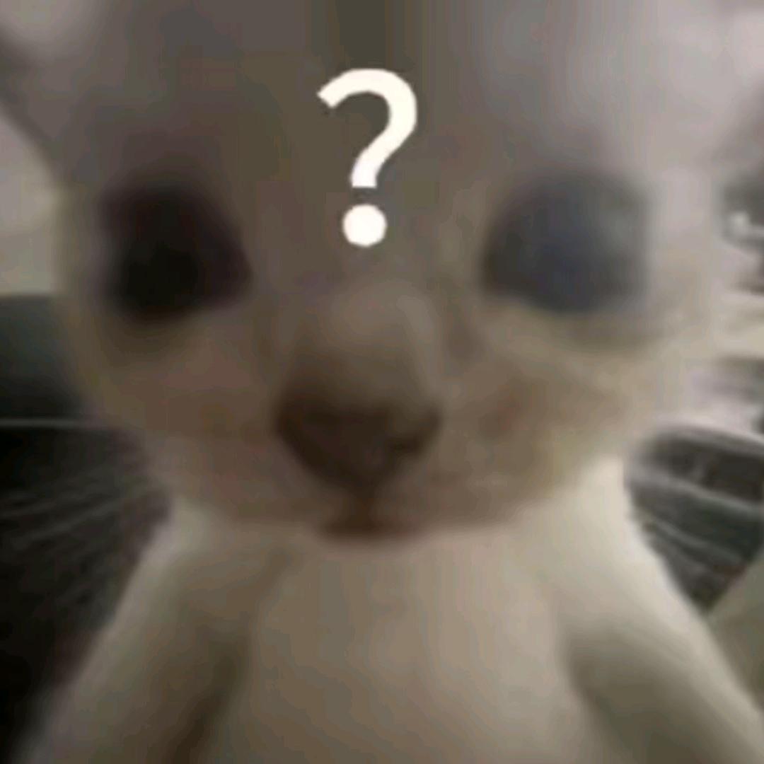嘴碎