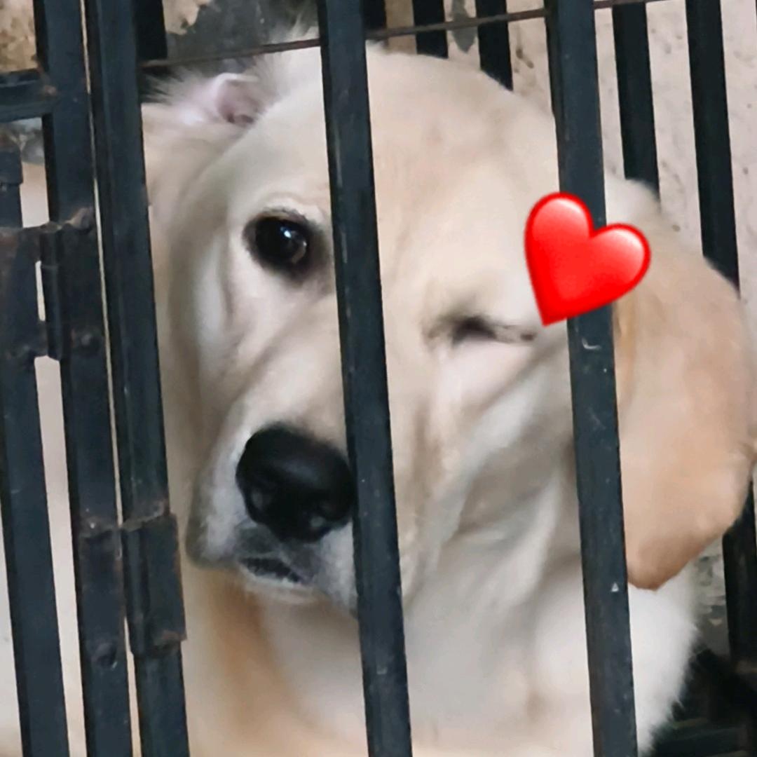 晴天天的大饭盆