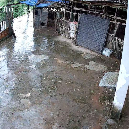 纱帽哈哈😃便利店