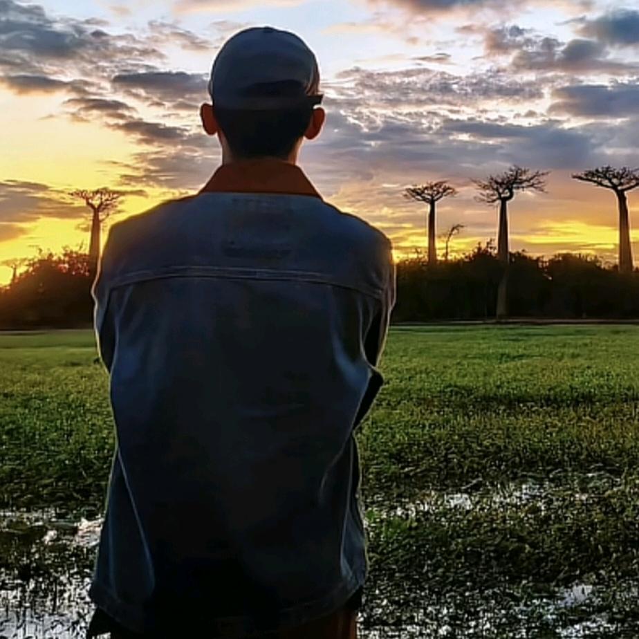 去码头搞点薯条