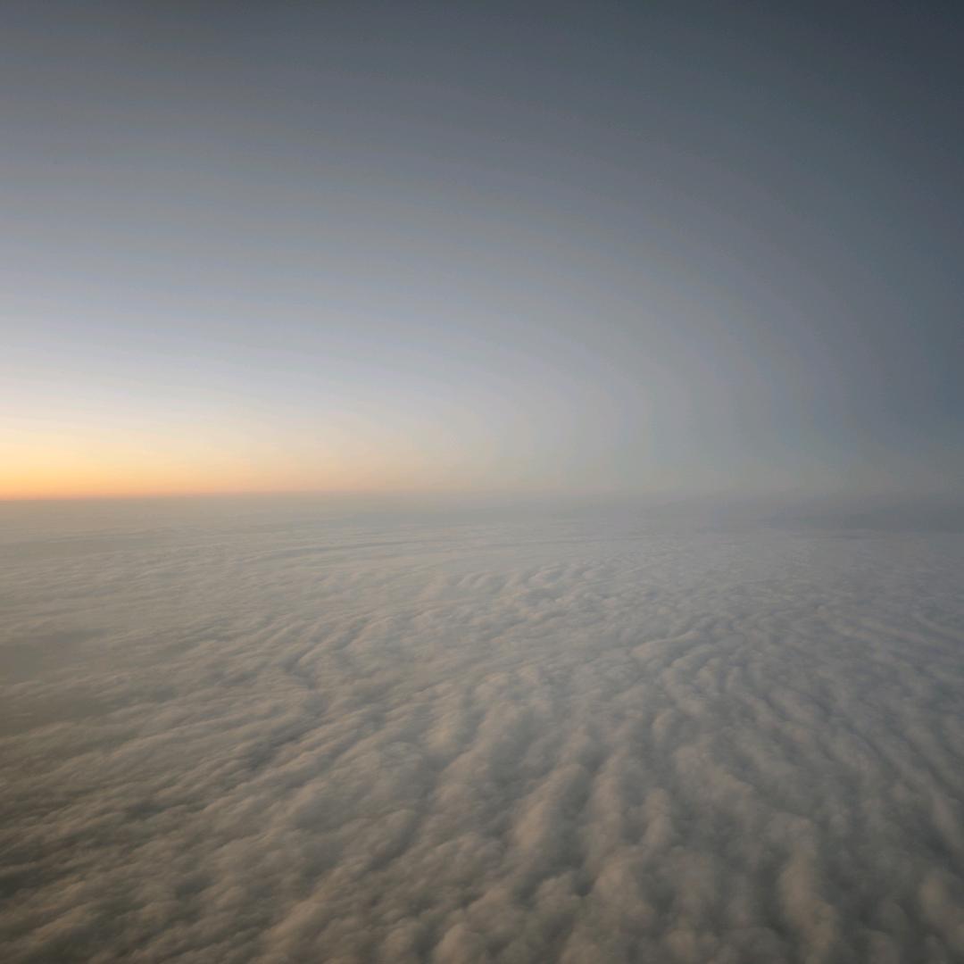 牛郎界闪耀之星