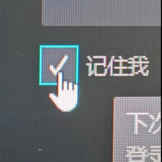 崭新万物