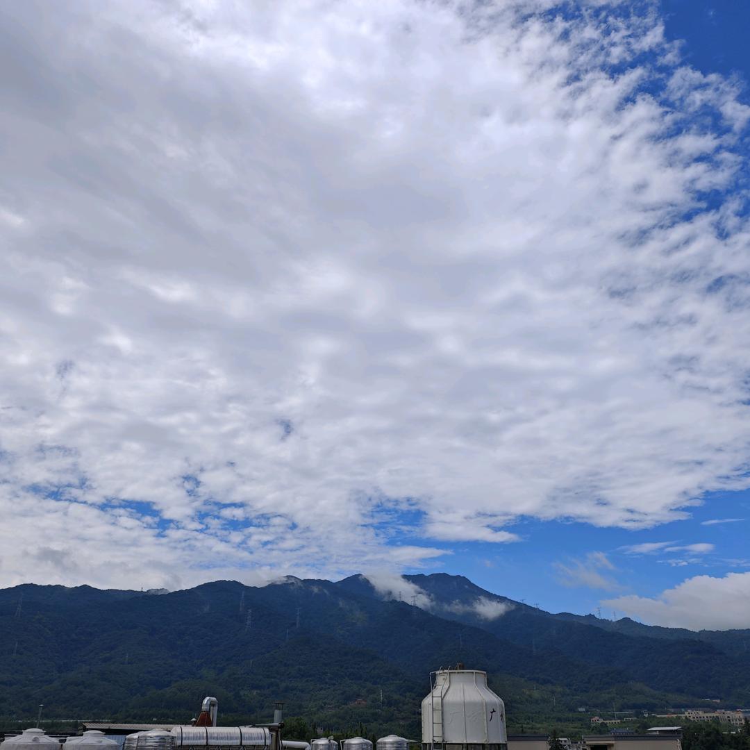 热带雨林